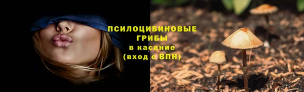 крисы Беломорск