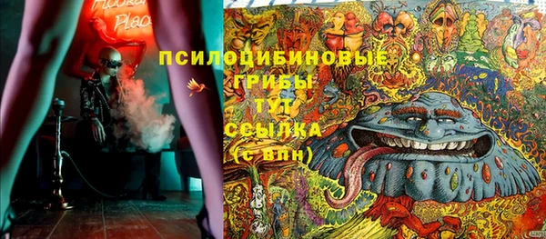 крисы Беломорск